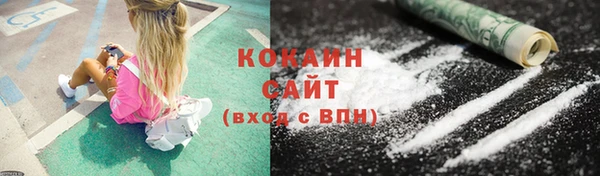 индика Баксан
