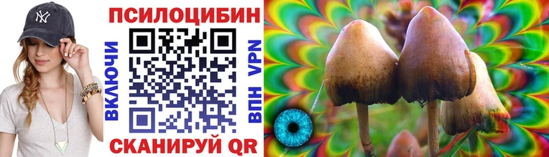 Галлюциногенные грибы Cubensis  Ленск 